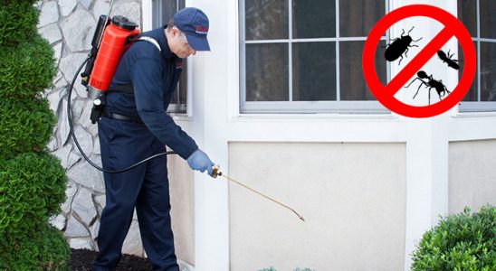 Cide Hamam Böceği İlaçlama böcek ilaçlama ve haşere kontrolü — ilaclama-tr.com